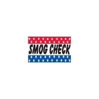 SMOG CHECK 3×5 Flag