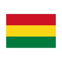 Bolivia 3×5 Flag