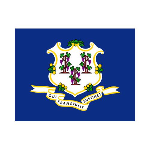 Connecticut State 3x5 flag