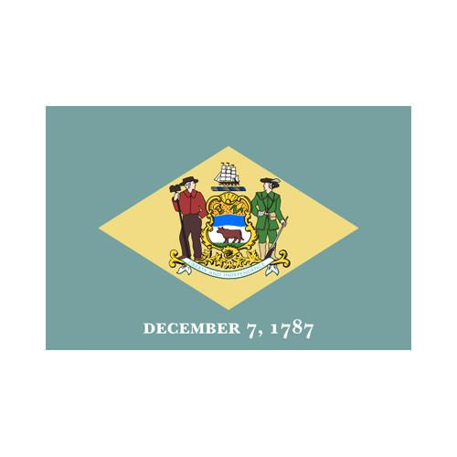 Delaware State 3x5 flag