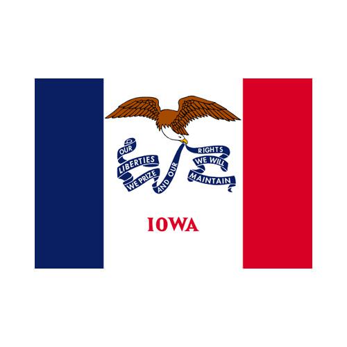 Iowa State 3x5 Flag