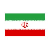 Iran 3×5 Flag