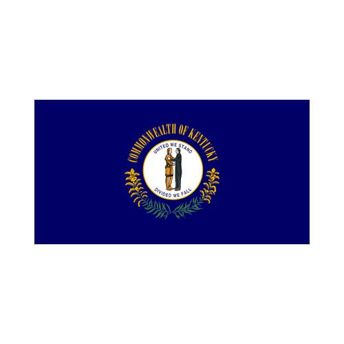 Kentucky State 3x5 flag