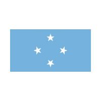 Micronesia 3×5 Flag