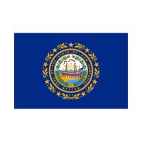 New Hampshire State 3×5 flag