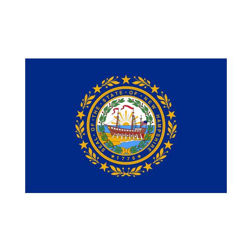 New Hampshire State 3x5 flag