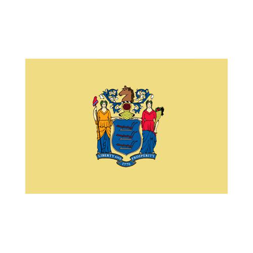 New Jersey State 3x5 flag