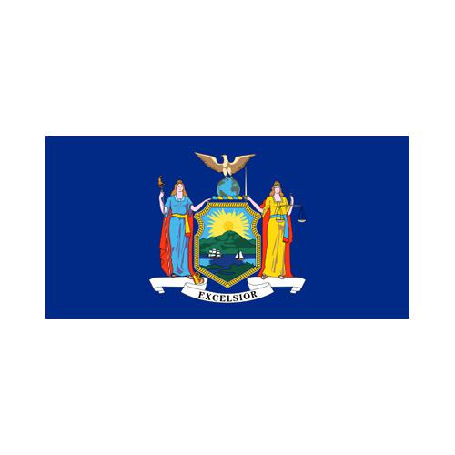 New York State 3x5 flag