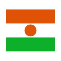 Niger 3×5 Flag