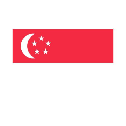Singapore 3x5 Flag