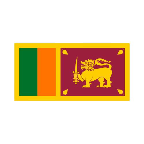 Sir Lanka 3x5 Flag
