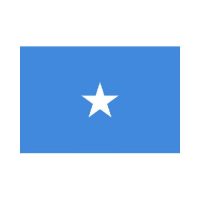 Somalia 3×5 Flag