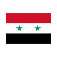 Syria 3×5 Flag