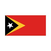 Timor 3×5 Flag