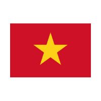 Vietnam 3×5 Flag